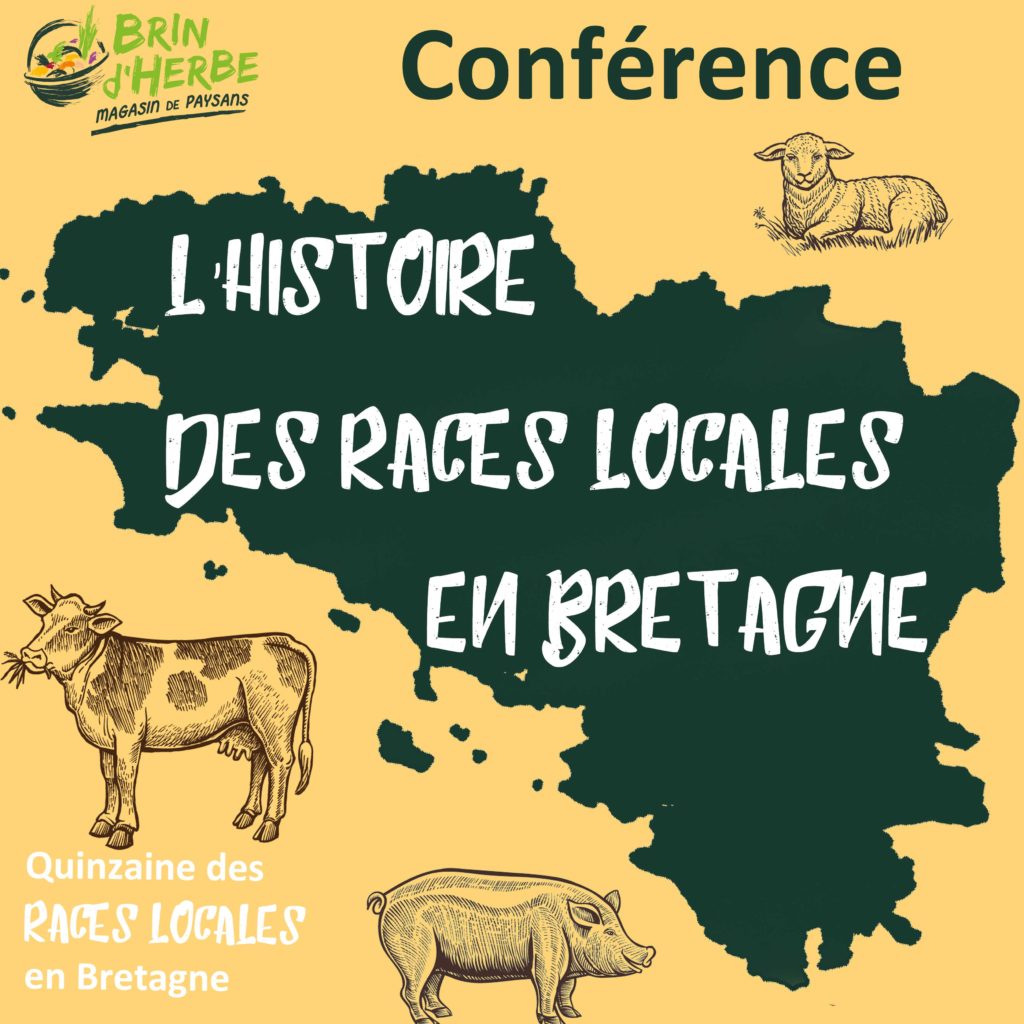 – – – Apéro/Conférence – – – Histoire des races locales en Bretagne