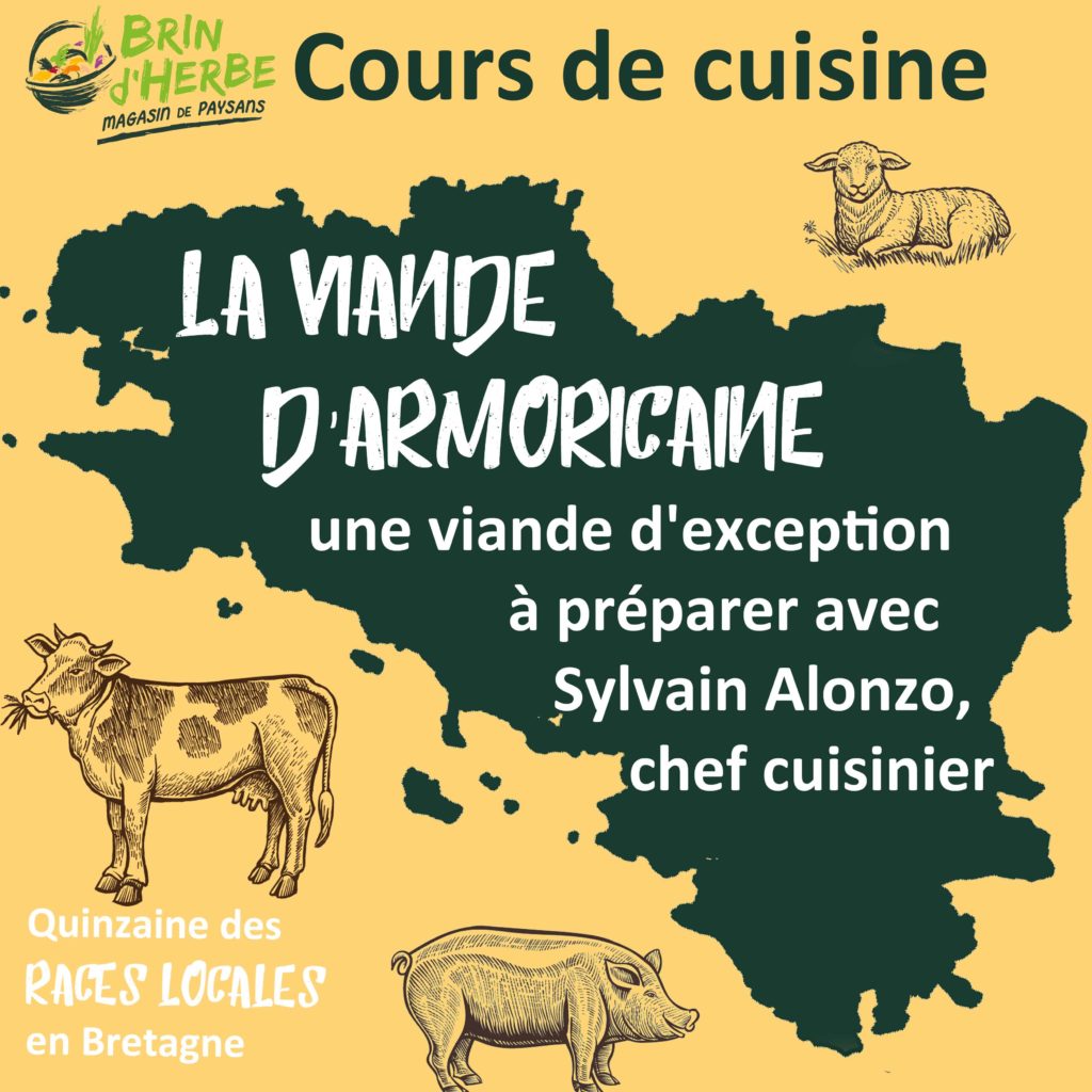– Cours de cuisine Chantepie – l’Armoricaine, tout un art à cuisiner!