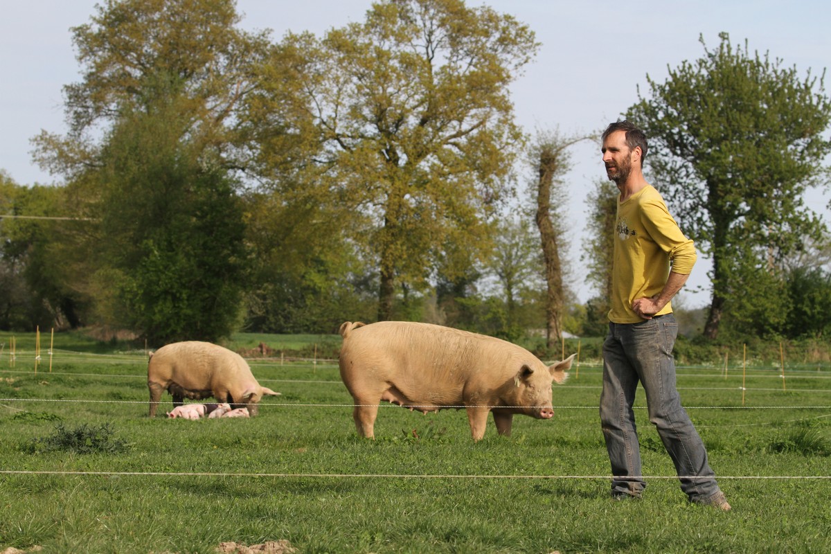 Ferme des bois (35)