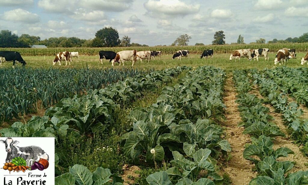 GAEC La ferme de la Paverie (35)