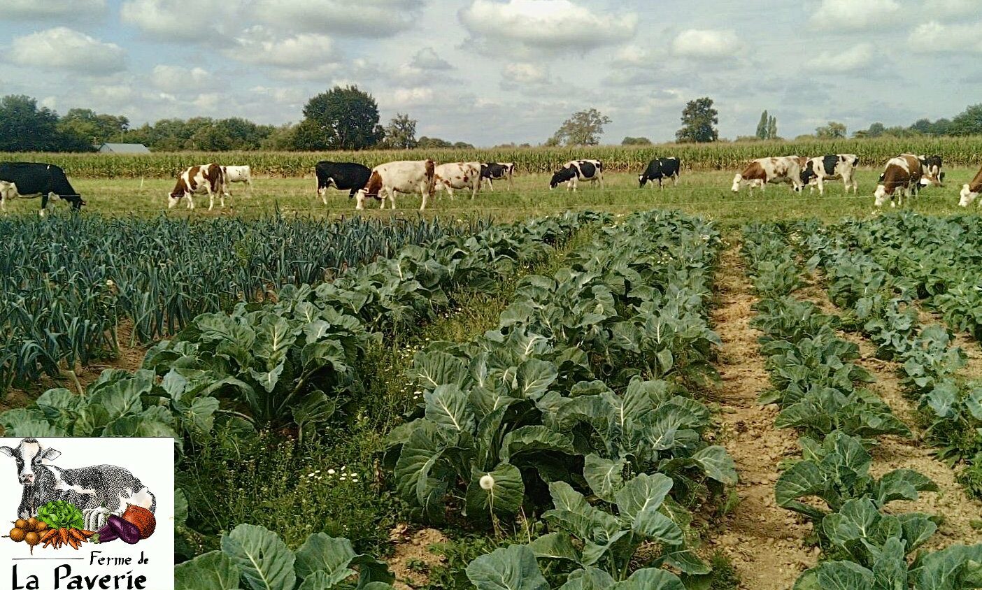 GAEC La ferme de la Paverie (35)