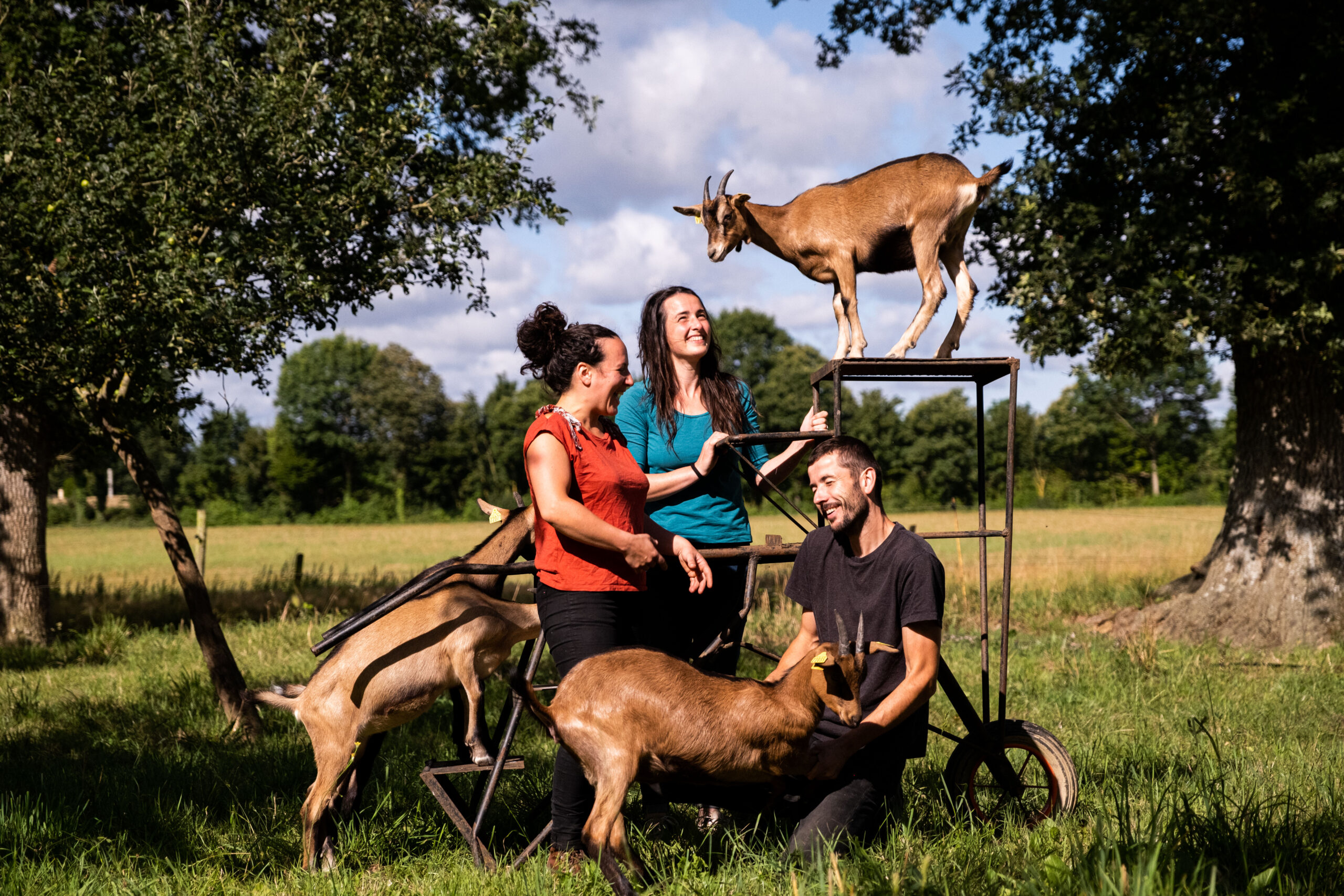 Ferme du Héron (35)